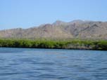 Mangroves of Isla San Jose, photo by Roger Wolfe