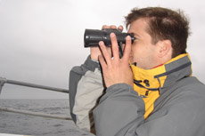 Seabird trip leader Martijn Verdoes